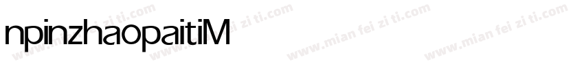 npinzhaopaiti Medium字体转换